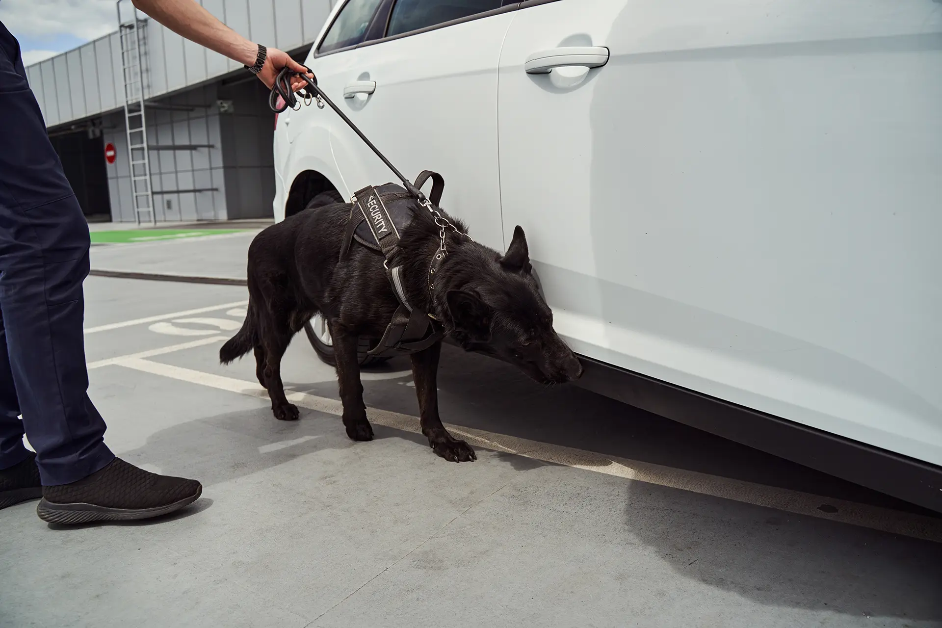 Border Patrol Checkpoints